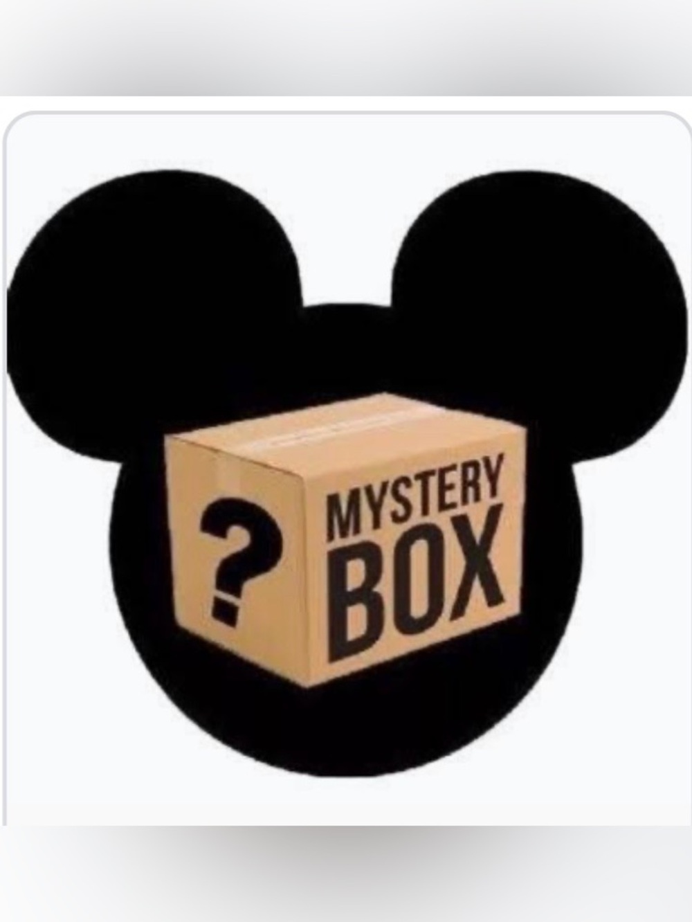 Disney Mystery Box! $40
